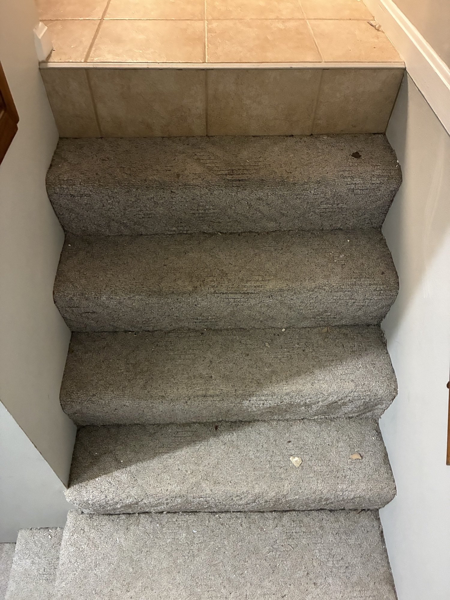 Cleanup & Reconstruction — before