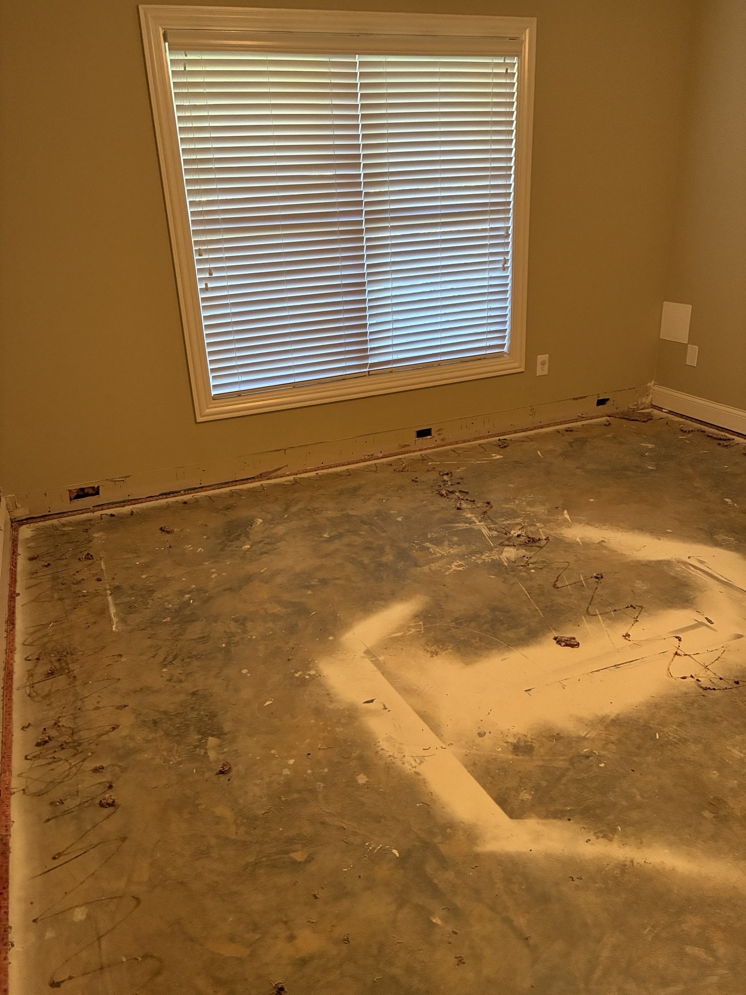 Living Area Restoration — before