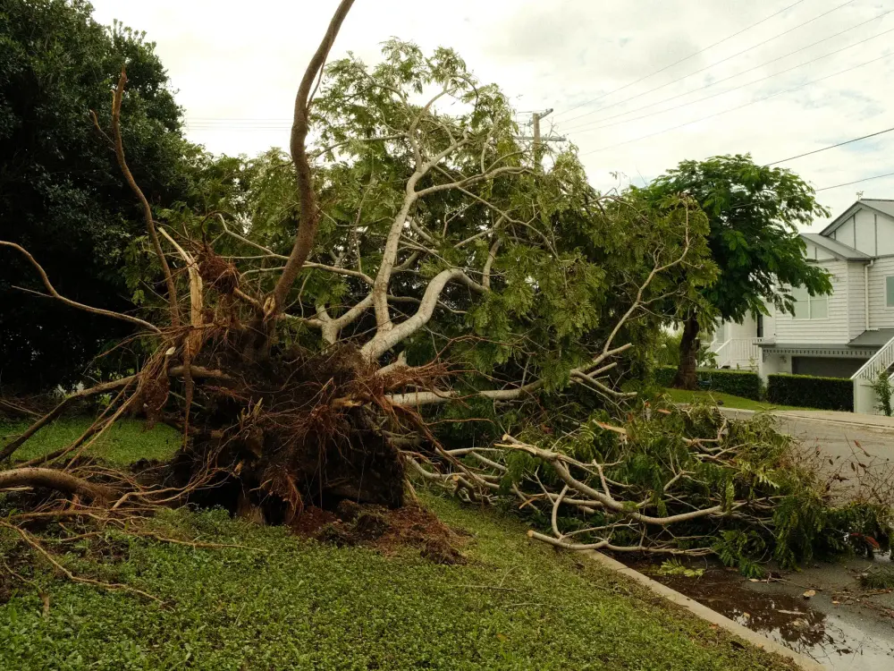 Storm and Wind Damage — a situation Emrick Services responds to