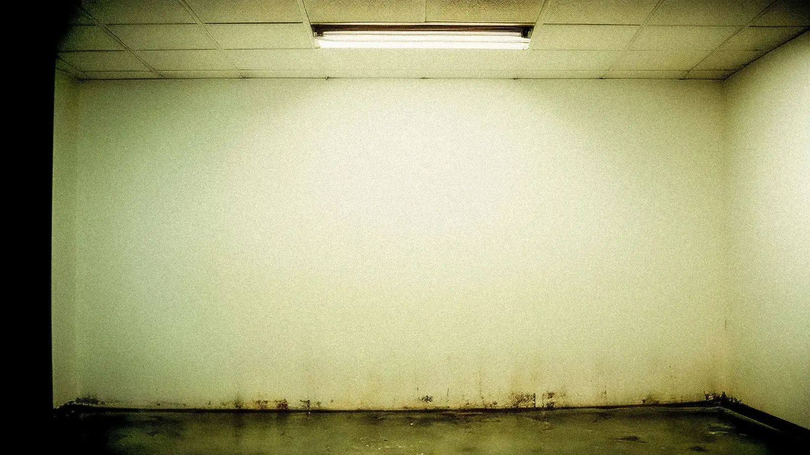 A moisture-stained interior wall showing the conditions where mold takes hold